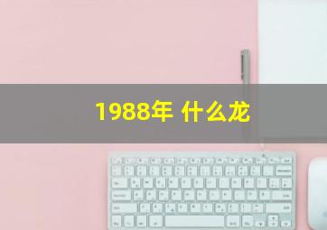 1988年 什么龙